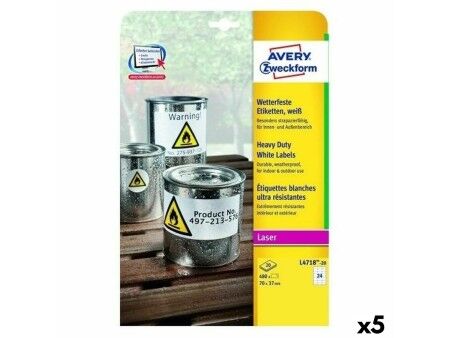 Etykiety do Drukarki Avery L4718 20 Kartki 99,1 x 139 mm (5 Sztuk)