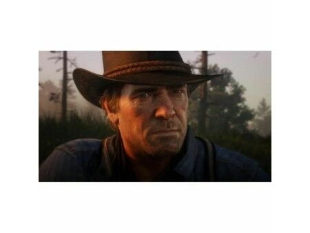 Gra wideo na PlayStation 4 Sony Red Dead Redemption 2