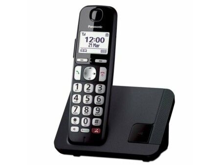 Telefon Bezprzewodowy Panasonic KX-TGE250SPB