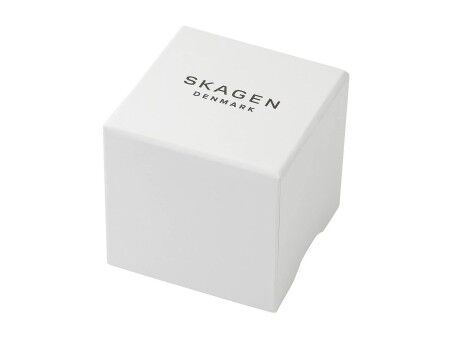 Zegarek Męski Skagen SKW6886