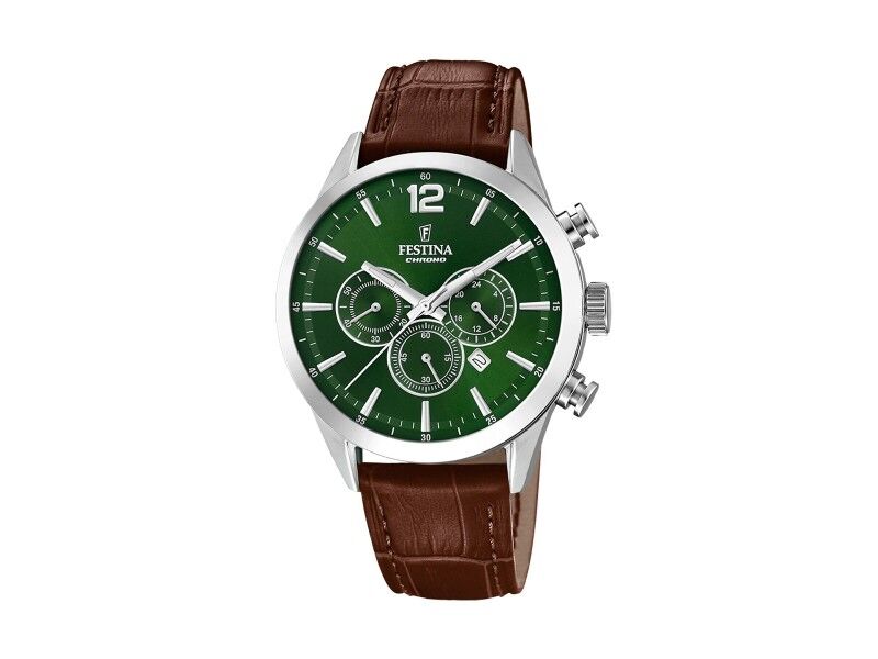 Zegarek Męski Festina F20542/8