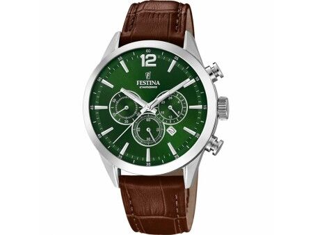 Zegarek Męski Festina F20542/8