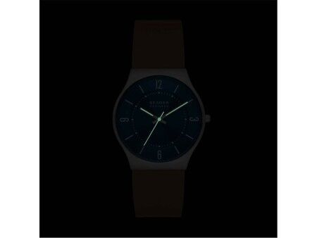 Zegarek Męski Skagen SKW6852