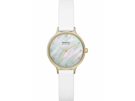 Zegarek Damski Skagen SKW3138