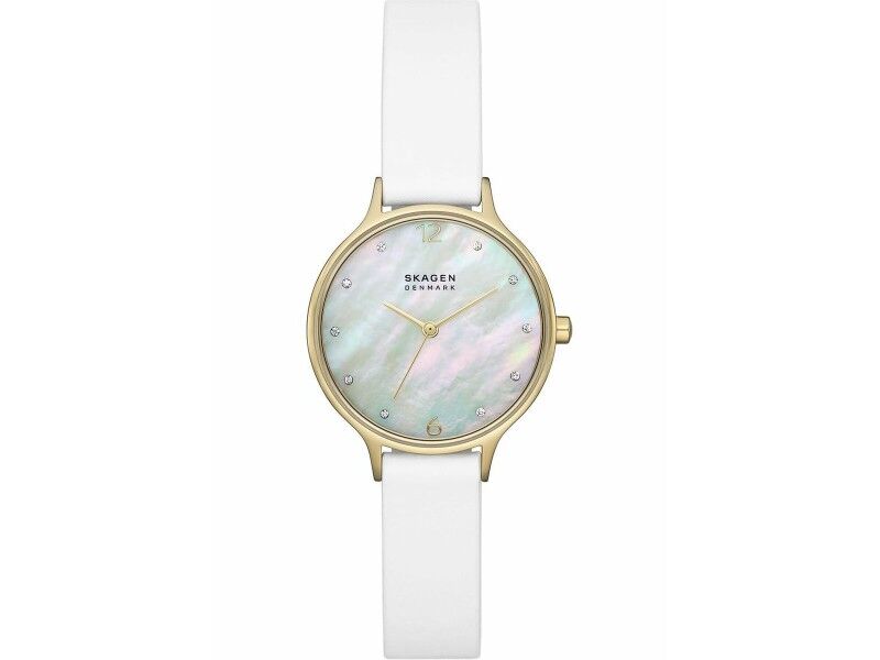 Zegarek Damski Skagen SKW3138