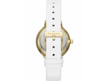 Zegarek Damski Skagen SKW3138