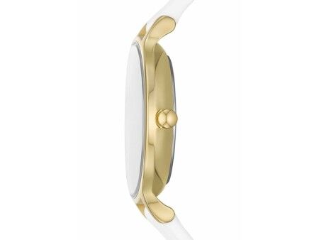Zegarek Damski Skagen SKW3138