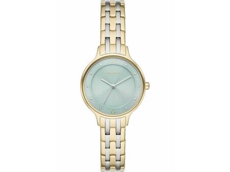 Zegarek Damski Skagen SKW3132