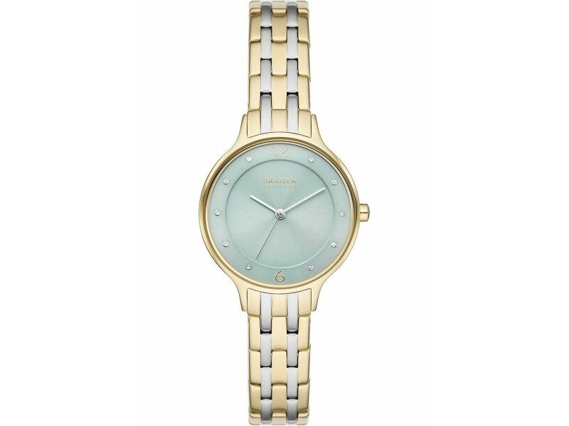 Zegarek Damski Skagen SKW3132