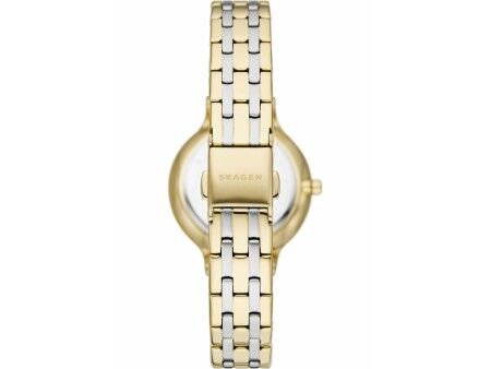 Zegarek Damski Skagen SKW3132