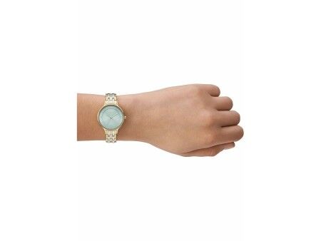 Zegarek Damski Skagen SKW3132