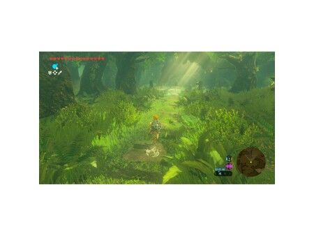 Przenośna konsola do gier Nintendo TLOZ BOTW NS2E