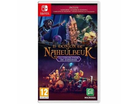 Gra wideo na Switcha Microids