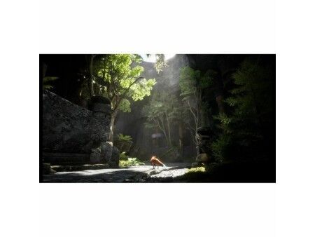 Gra wideo na PlayStation 5 Just For Games