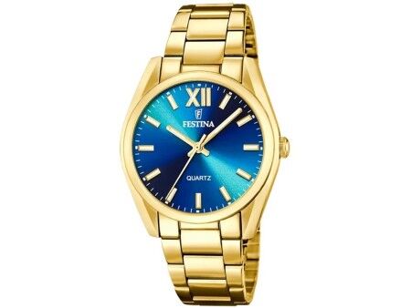 Zegarek Męski Festina F20640/8