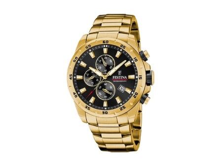 Zegarek Męski Festina F20541/4 Szary