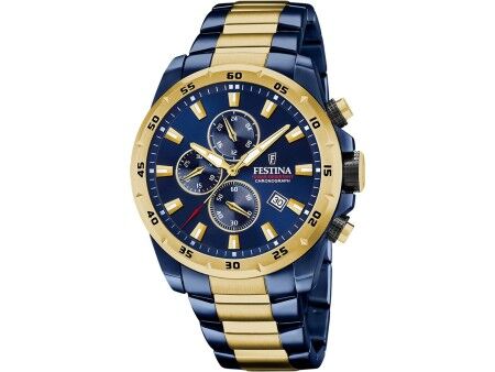 Zegarek Męski Festina F20564/1 Szary