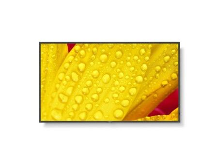 Monitor Videowall NEC 60006085 4K Ultra HD 50"