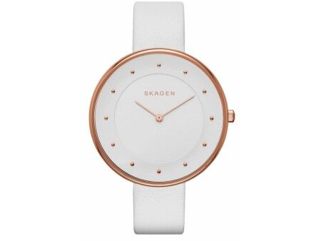 Zegarek Damski Skagen SKW2291 (Ø 38 mm)