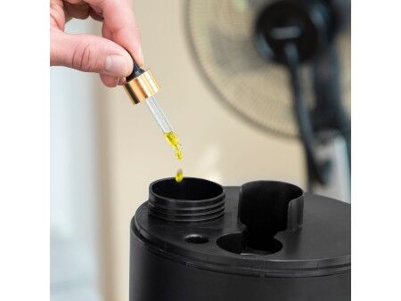 Wiatrak z rozpylaczem sterowany pilotem InnovaGoods Mistinn Czarny 90 W 2,8 L