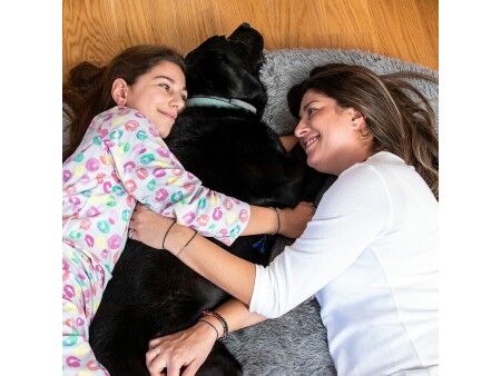 Legowisko dla psa i ludzi  Human Dog Bed XXL InnovaGoods Grey