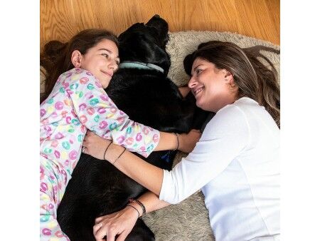 Legowisko dla psa i ludzi  Human Dog Bed XXL InnovaGoods Beige