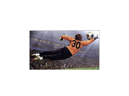Monitor Videowall LG 49VL5G-M.AEU Full HD 49"