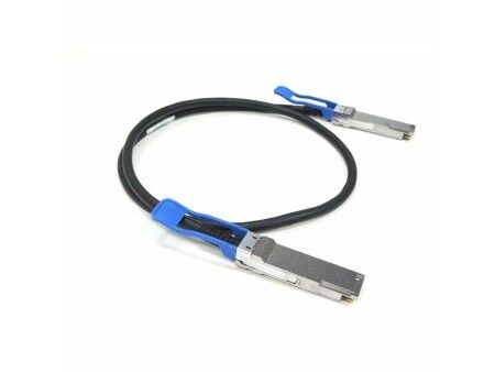 Kabel Sieciowy Sztywny UTP Kategoria 6 CISCO QSFP-100G-CU1M      1 m